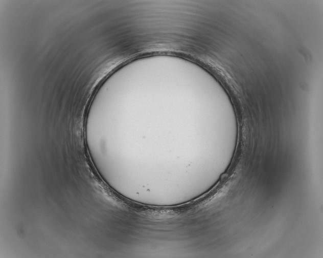 X0000111381129200908071229