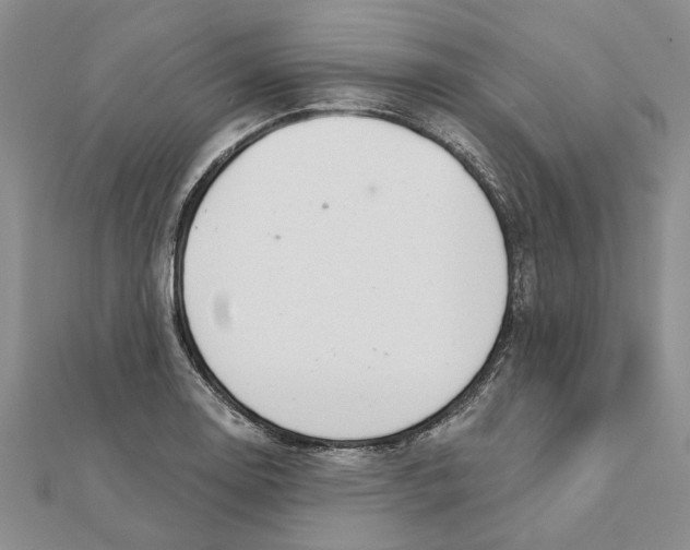 X0000111381130200908071229