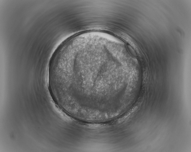 X0000111381132200908071229