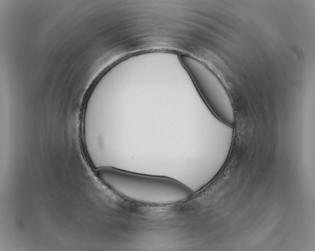 X0000111381134200908071229