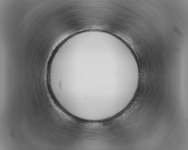 X0000111381135200908071229