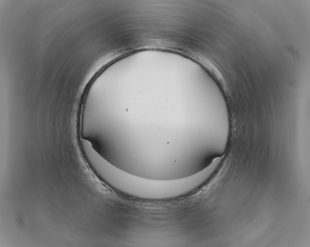 X0000111381138200908071229