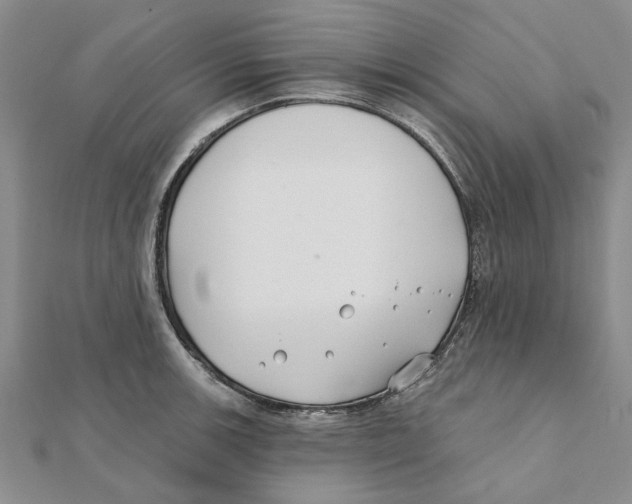 X0000111381139200908071229