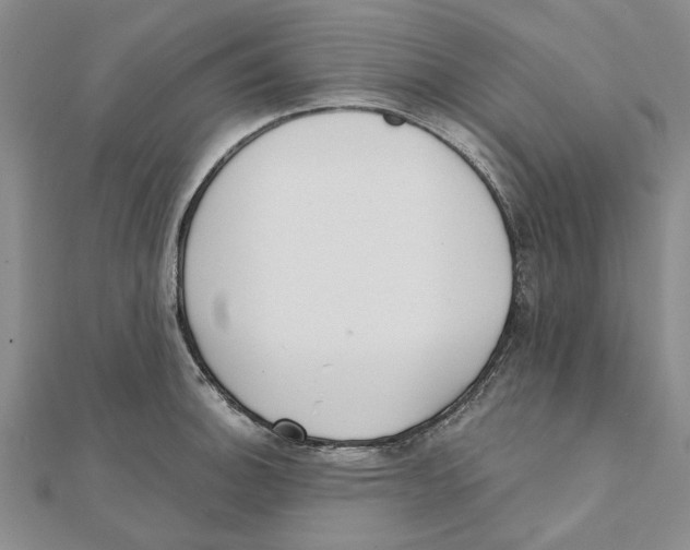 X0000111381140200908071229