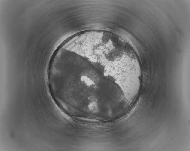 X0000111381141200908071229