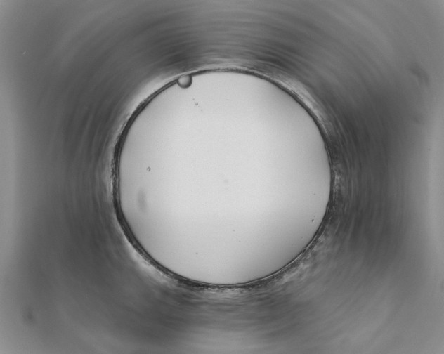 X0000111381143200908071230