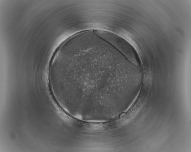 X0000111381144200908071230