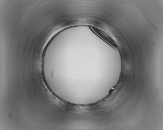 X0000111381148200908071230