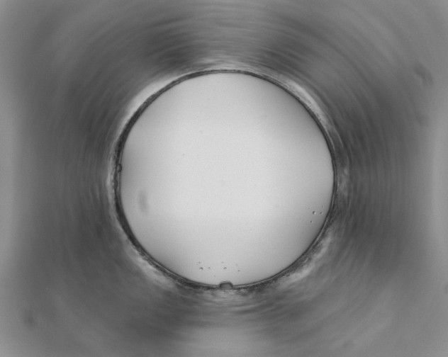 X0000111381149200908071230