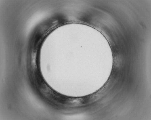 X0000111381150200908071230