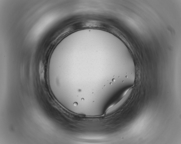 X0000111381151200908071230