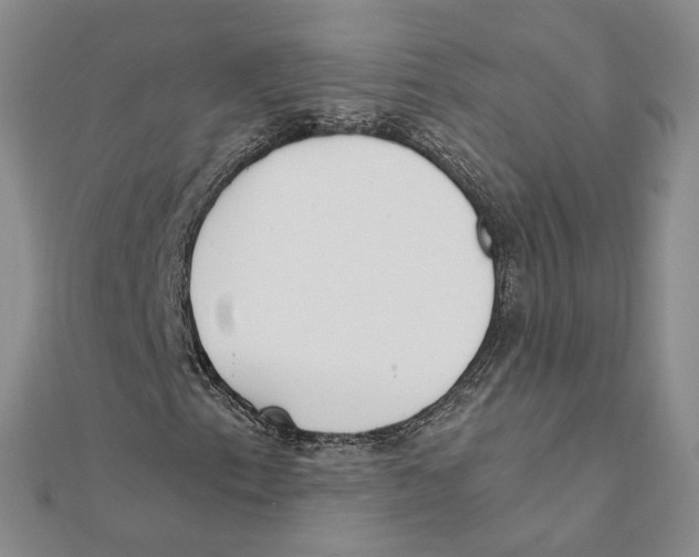 X0000111381153200908071229