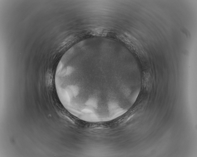 X0000111381154200908071229