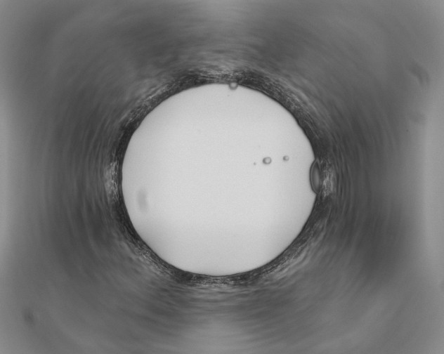 X0000111381156200908071229