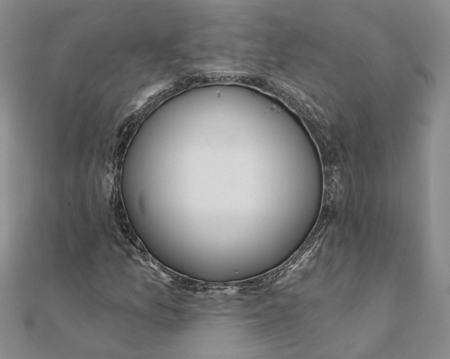 X0000111381157200908071229