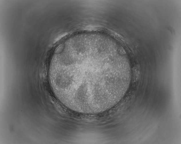 X0000111381158200908071229