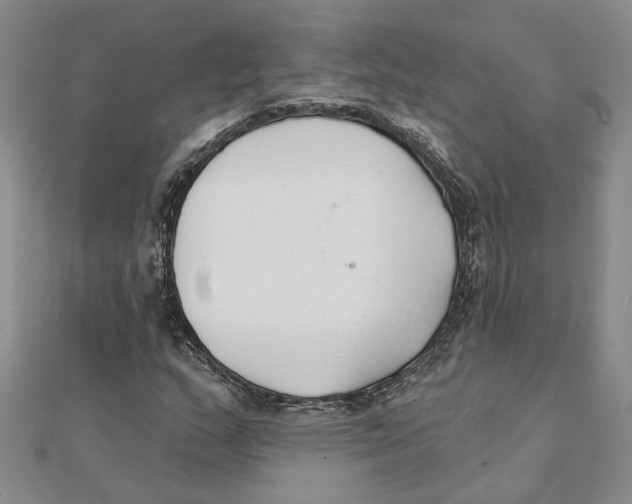 X0000111381159200908071229