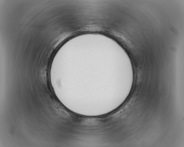 X0000111381162200908071229