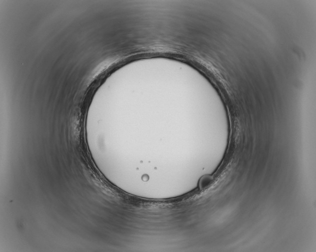 X0000111381163200908071229