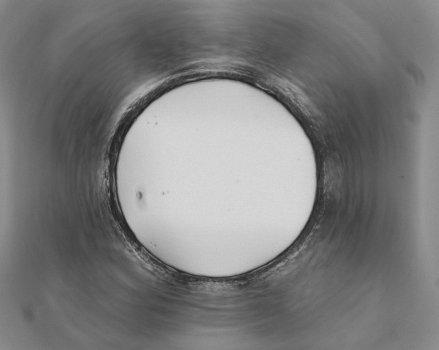 X0000111381164200908071229