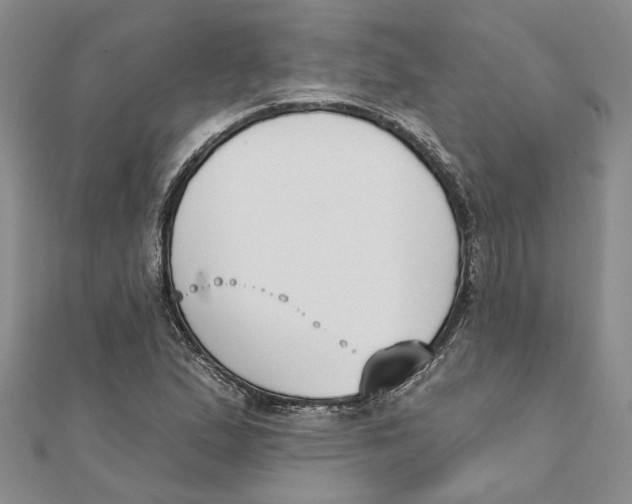 X0000111381167200908071229