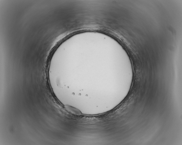 X0000111381168200908071229