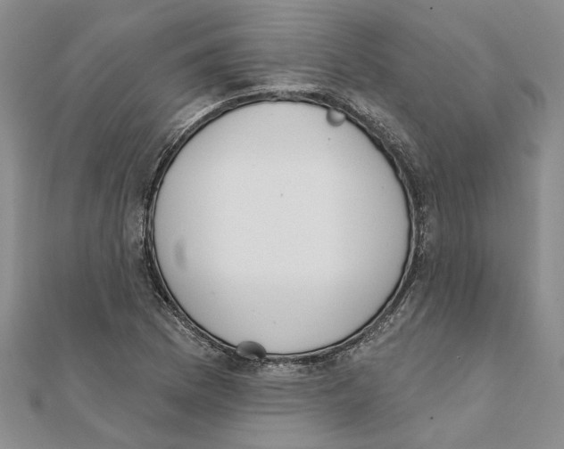 X0000111381169200908071229