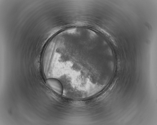 X0000111381170200908071229