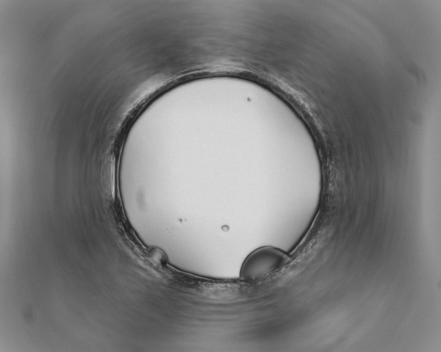 X0000111381171200908071229