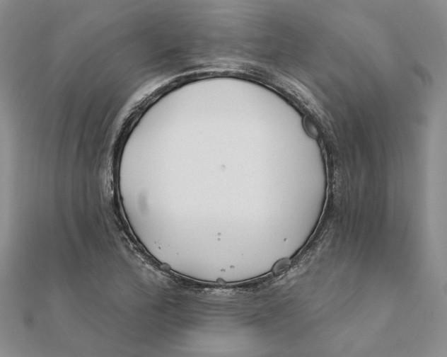 X0000111381172200908071229