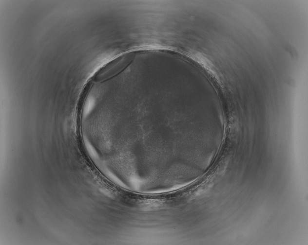 X0000111381173200908071229