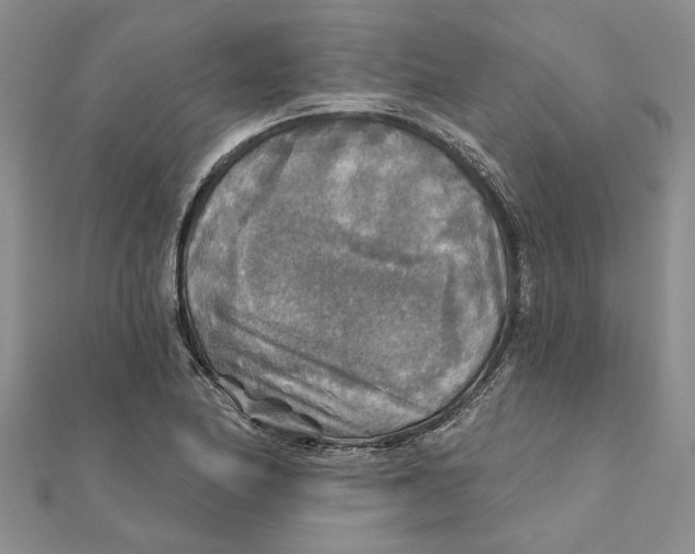 X0000111381174200908071229