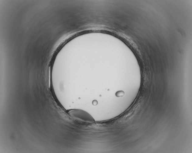 X0000111381175200908071229