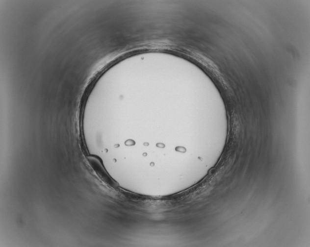 X0000111381176200908071229