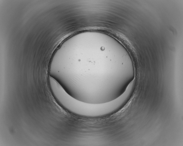 X0000111381177200908071229