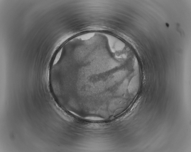 X0000111381179200908071229