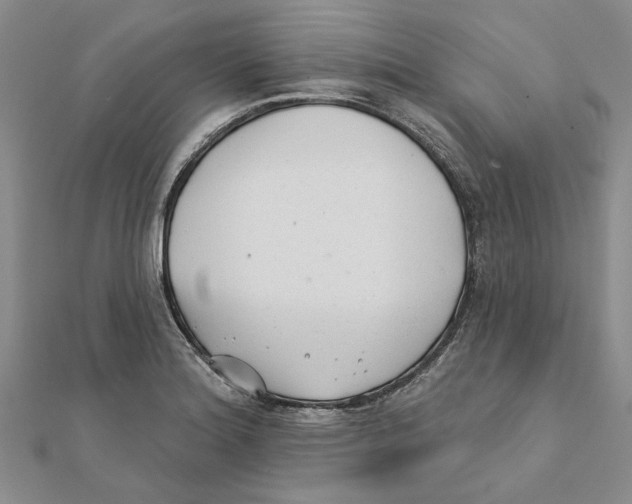 X0000111381180200908071229