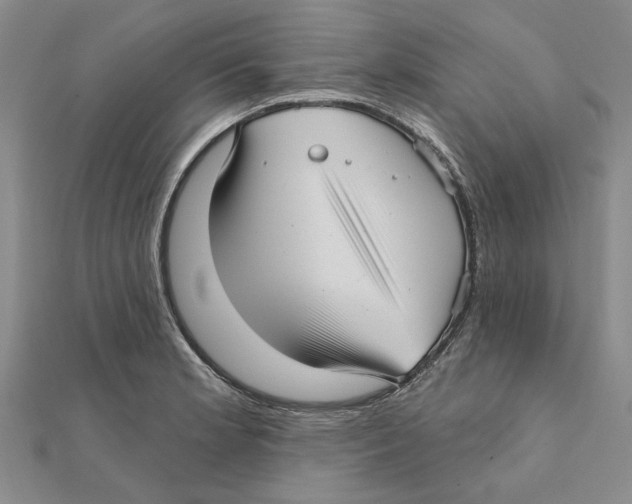 X0000111381181200908071229