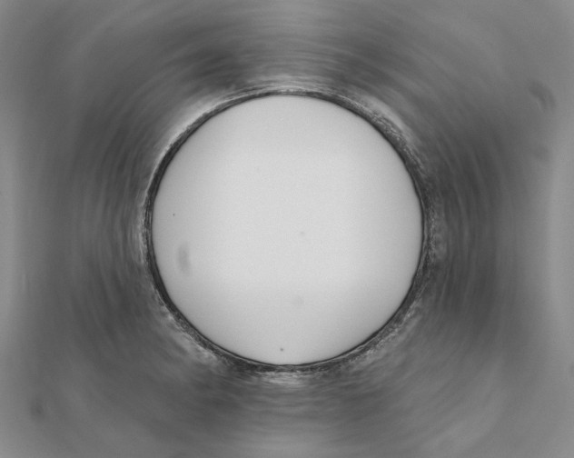 X0000111381182200908071229