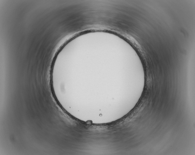 X0000111381183200908071229