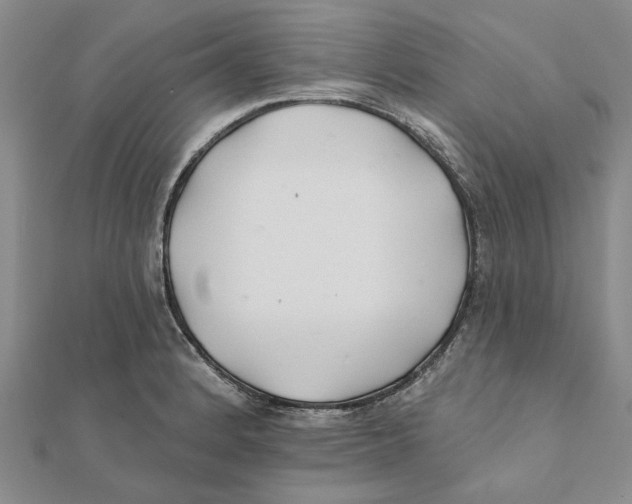 X0000111381184200908071229