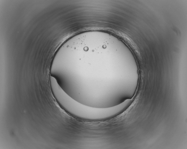 X0000111381185200908071229