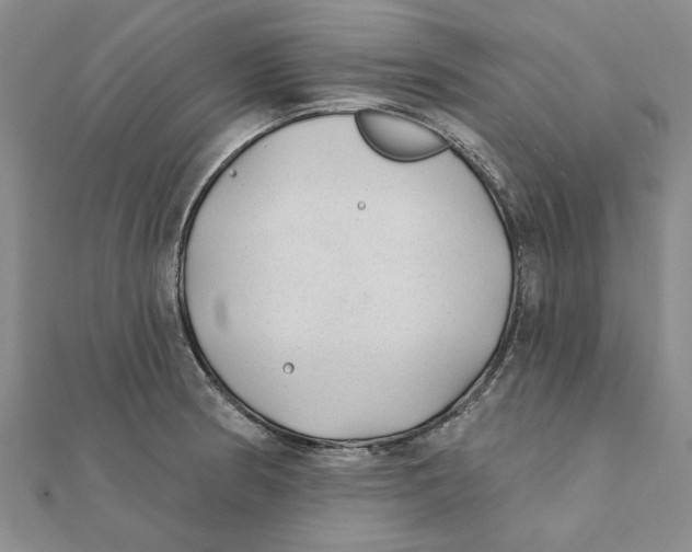 X0000111381186200908071229