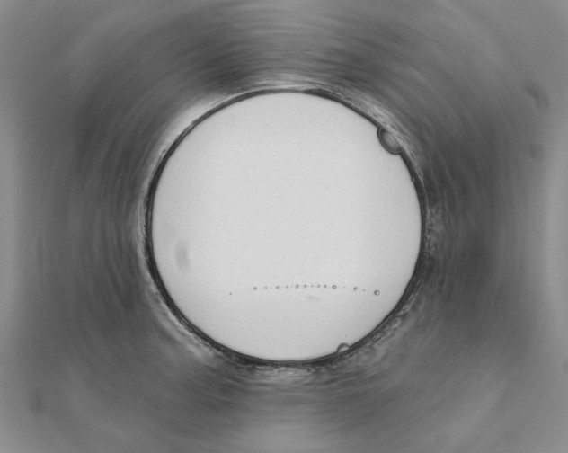 X0000111381187200908071229