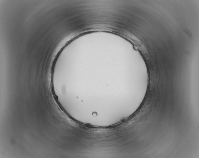 X0000111381188200908071229