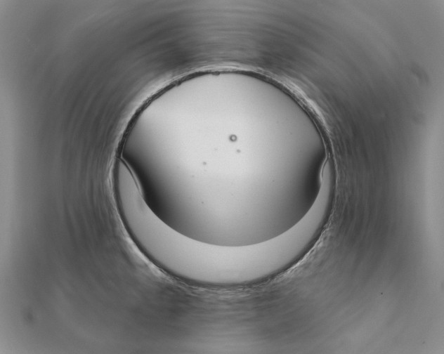 X0000111381189200908071229