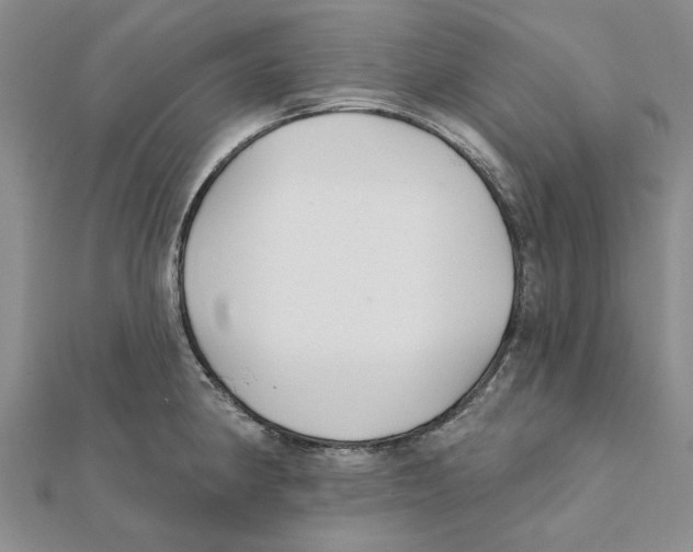 X0000111381190200908071229