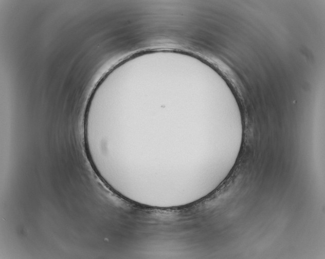 X0000111381191200908071229