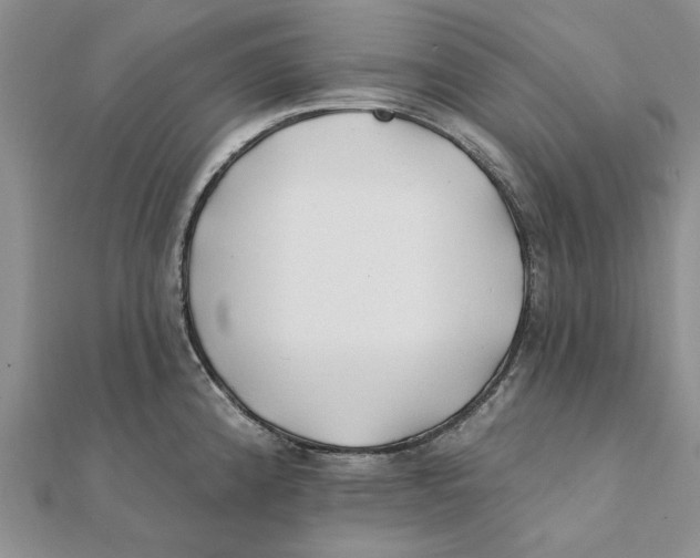 X0000111381192200908071229