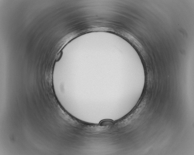 X0000111381193200908071229